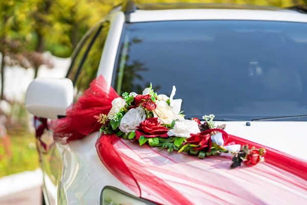 Wedding Transfer image